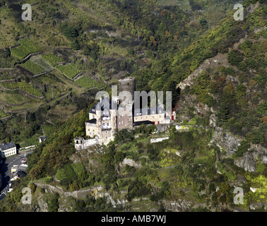 Château chat (Burg Katz), Allemagne, Rhénanie-Palatinat, St Goarshausen/Rhein Banque D'Images