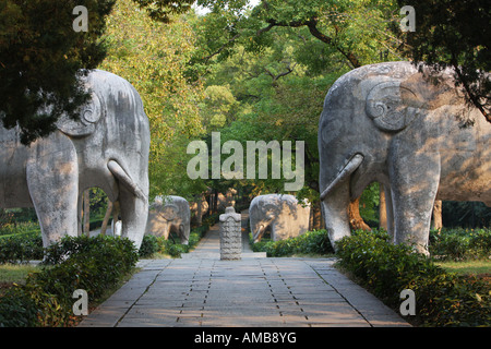 Avenue de pierre animaux, Tombeau Ming, Chine Banque D'Images