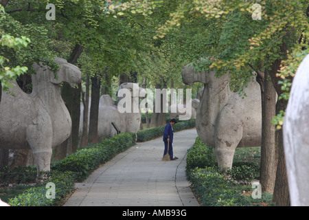 Avenue de pierre animaux, Tombeau Ming, Chine Banque D'Images