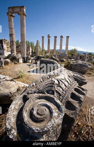 A renversé une capitale Temple sculpté très capitale d'une colonne en ruine Banque D'Images