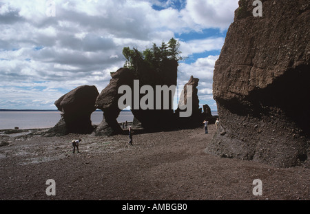 Grès Hopewell Rocks érodés par les marées de la baie de Fundy, près de Moncton, Nouveau Brunswick Banque D'Images