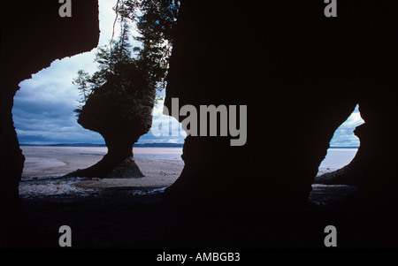 Grès Hopewell Rocks érodés par les marées de la baie de Fundy, près de Moncton, Nouveau Brunswick Banque D'Images