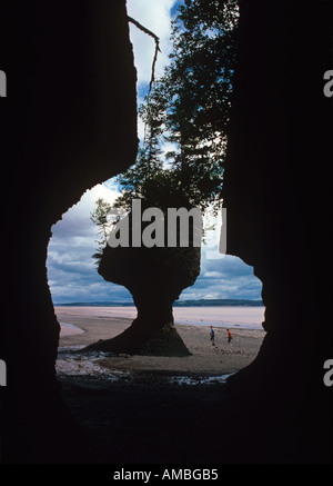 Grès Hopewell Rocks érodés par les marées de la baie de Fundy, près de Moncton, Nouveau Brunswick Banque D'Images