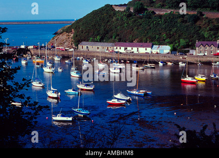 Vieille ville de fishguard inférieur bateaux et yachts du parc national du Pembrokeshire, Pays de Galles du Sud Royaume-Uni gb Banque D'Images