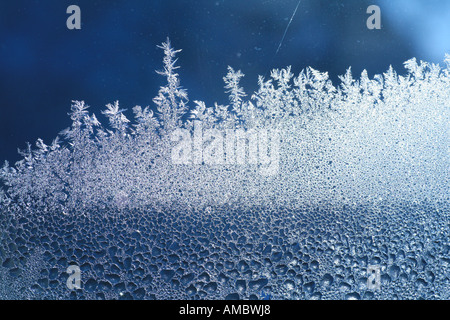 A proximité de la glace très mince 6 Banque D'Images