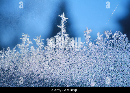 A proximité de la glace très mince 6 Banque D'Images