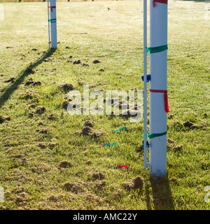 Poteau de but avec rouge vert ruban enroulé autour d'eux éclectique Banque D'Images