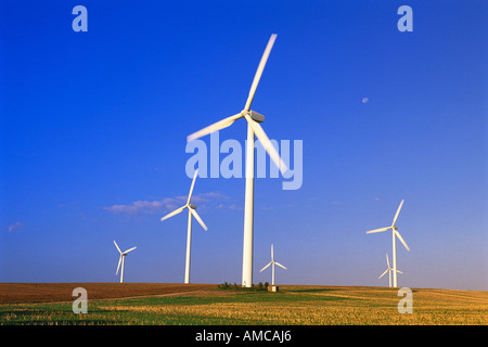 Éoliennes, Saxe, Allemagne Banque D'Images