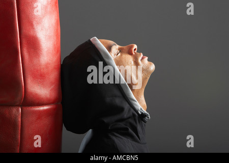 Portrait de Boxer Banque D'Images