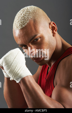 Portrait de Boxer Banque D'Images