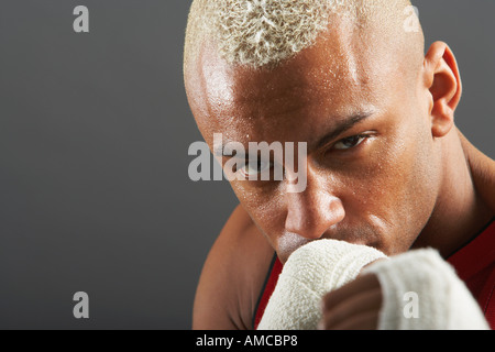 Portrait de Boxer Banque D'Images