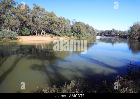 Rive sud du fleuve Murray près de Echuca, redgums, longues ombres, plages de sable, Victoria, Australie Banque D'Images