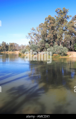 Rive sud du fleuve Murray près de Echuca, redgums, longues ombres, plages de sable, Victoria, Australie Banque D'Images