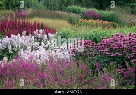 Pensthorpe Phlox Monarda Astilbe Banque D'Images