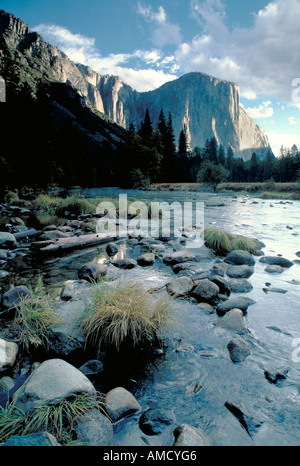 1683 Elk274 Californie Yosemite National Park El Capitan avec Merced Banque D'Images
