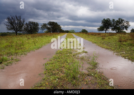 Route de campagne inondée, Texas, États-Unis Banque D'Images