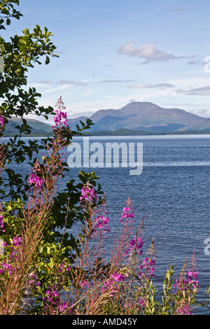 Le Loch Lomond de Duck Bay, parc national du Loch Lomond et des Trossachs, l'Argyll and Bute, Ecosse Banque D'Images