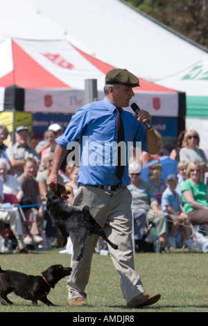 Démonstration de terrier de course à Taunton Flower show Banque D'Images