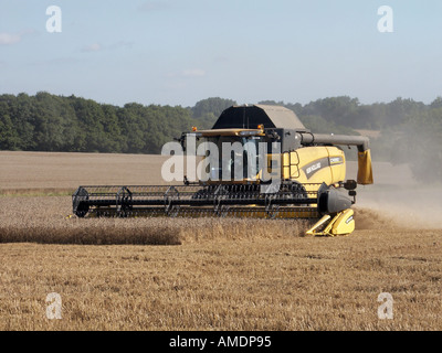 Gros plan vue latérale de face de la marque New Holland CX880 de moissonneuse-batteuse travaillant dans des terres agricoles rurales poussiéreuses et sèches à Mountnessing Brentwood, Essex, Angleterre, Royaume-Uni Banque D'Images