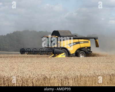 Gros plan vue latérale avant de la moissonneuse-batteuse New Holland CX880 au travail dans des terres agricoles sèches et poussiéreuses à Mountnessing Brentwood, Essex, Angleterre Banque D'Images
