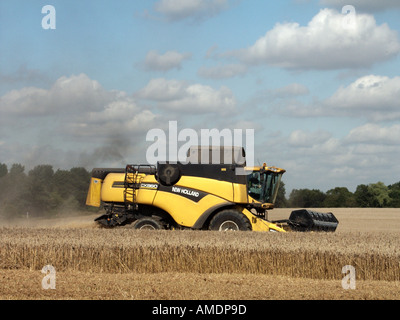 Vue rapprochée ensoleillée vue latérale de la moissonneuse-batteuse New Holland CX880 à l'œuvre pour la coupe de céréales mûres dans des terres agricoles rurales sèches Essex Angleterre Banque D'Images