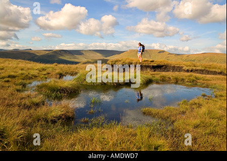 Female hiker sur la lande au-dessus de Talybont Brecon Beacons au Pays de Galles UK Banque D'Images