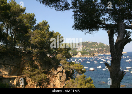 La station balnéaire de Calella de Palafrugell et sentier du littoral vu de la Camino de Ronda, une promenade côtière de la Costa Brava, Espagne. Banque D'Images