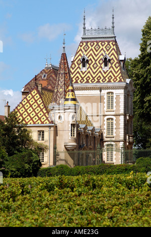 Chateau Andre Corton et vignes en Aloxe Corton Côte de Beaune France Région Banque D'Images