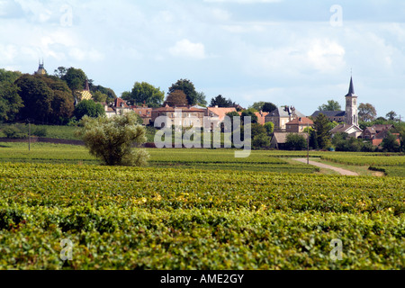 Le village viticole d'Aloxe Corton et de vignes en Côte de Beaune France Région Banque D'Images