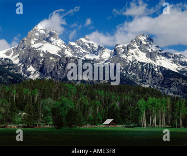 Parc National de Grand Teton, au Wyoming, montrant une vue sur les hauts sommets de Cottonwood Meadows pendant la saison estivale Banque D'Images