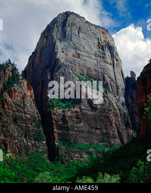 Le parc national de Zion dans l'Utah, montrant l'énorme formation rocheuse monolithique nommé le Grand Trône Blanc Banque D'Images