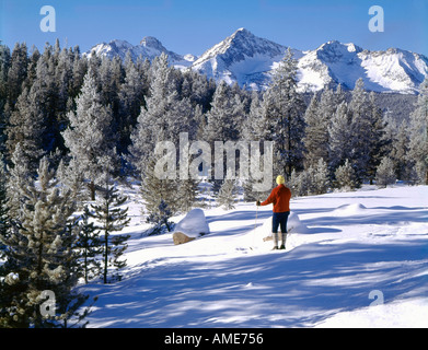 Scie National Recreation Area dans Idaho montrant le dirigeant d'une skieuse d'admirer l'imposante chaîne de montagnes de scie Banque D'Images