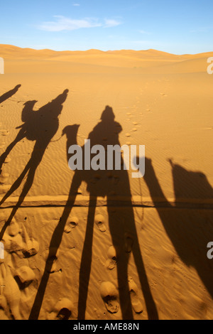 Ombre de trois chameaux dromadaire si les dunes de l'Erg Chebbi près de Merzouga dans l'est du Maroc. Banque D'Images