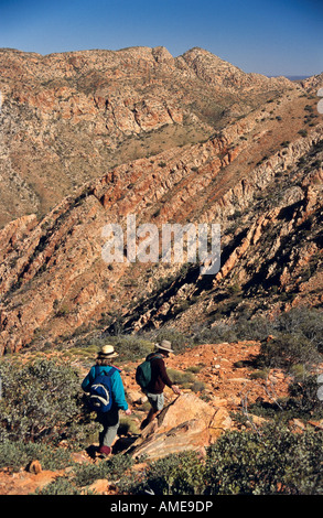 Larapinta Trail, le Centre de l'Australie, Banque D'Images