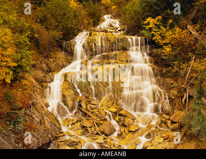 Ruisseau Cascade en automne le parc national des Glaciers de la Colombie-Britannique, Canada Banque D'Images