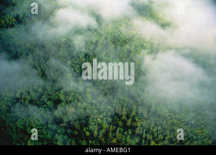 Vue aérienne de la Forêt Québec, Canada Banque D'Images