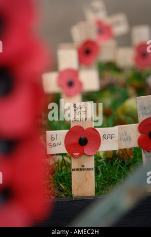 Coquelicots et de souvenir traverse sur le monument aux morts dans la ville de Bath dans le Somerset. Photo par Jim Holden. Banque D'Images