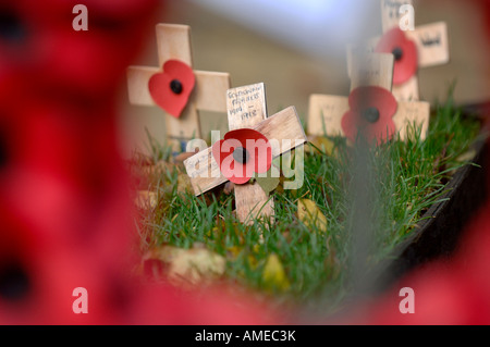 Coquelicots et de souvenir traverse sur le monument aux morts dans la ville de Bath dans le Somerset. Photo par Jim Holden. Banque D'Images