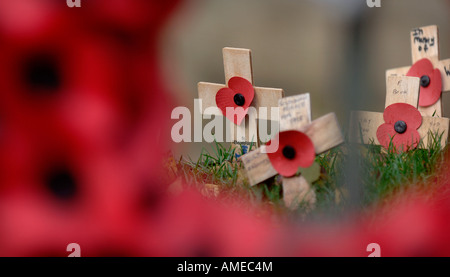 Coquelicots et de souvenir traverse sur le monument aux morts dans la ville de Bath dans le Somerset. Photo par Jim Holden. Banque D'Images