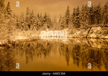 Les chutes de neige fraîche sur les arbres près du lac près de Hinton, Alberta, Canada Banque D'Images