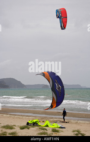 Le kitesurf sur la plage à Arcachon, au nord d'Auckland, île du Nord, en Nouvelle-Zélande. Banque D'Images