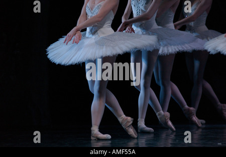 Ballet de Swan Lake Banque D'Images