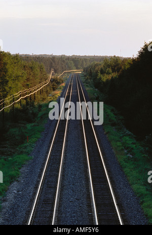 Voie ferrée et arbres Banque D'Images