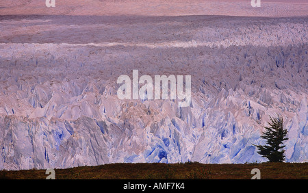 Sommaire des glacier Perito Moreno, le Parc National Los Glaciares, Patagonie, Argentine Banque D'Images