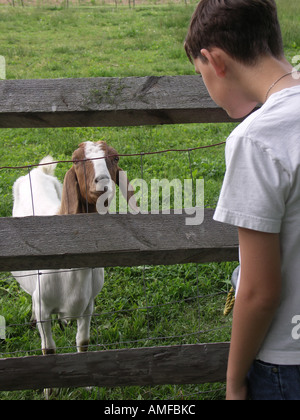 Regarder les uns les autres Banque D'Images