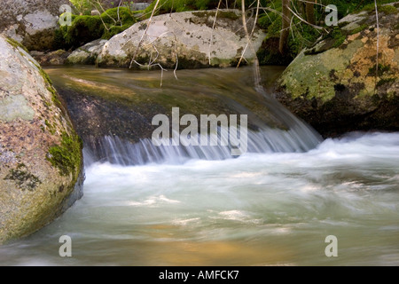 La fourche est de la fourche sud de la rivière Salmon près de Yellow Pine, Idaho. Banque D'Images