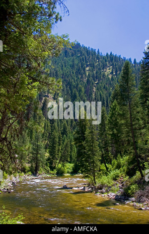 La fourche sud de la rivière Salmon près de Yellow Pine, Idaho. Banque D'Images