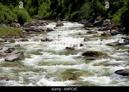 La fourche est de la fourche sud de la rivière Salmon près de Yellow Pine, Idaho. Banque D'Images