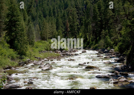 La fourche est de la fourche sud de la rivière Salmon près de Yellow Pine, Idaho. Banque D'Images