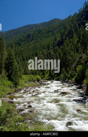 La fourche est de la fourche sud de la rivière Salmon près de Yellow Pine, Idaho. Banque D'Images